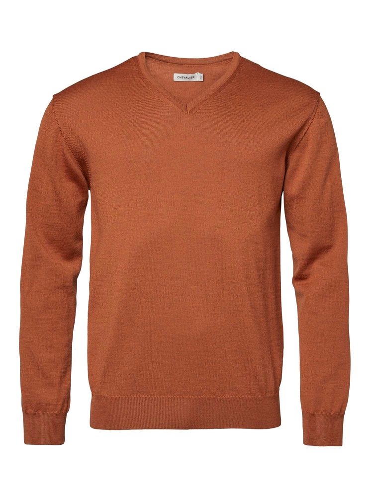 productCard.productImage: Aston V-Neck Merino Pullover Men Amber