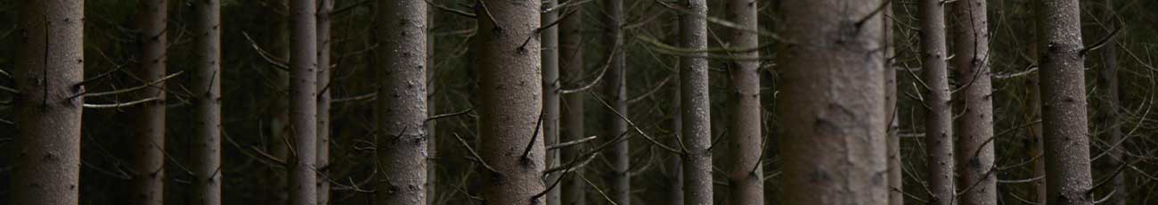 Metsästysreput