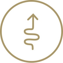 Upcycled icon
